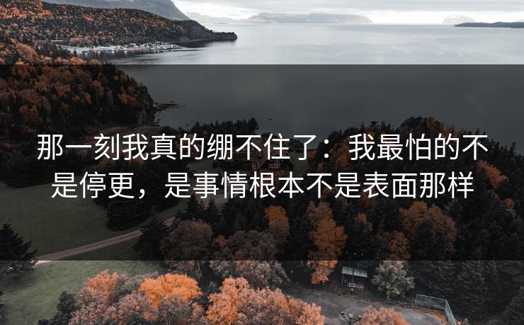 那一刻我真的绷不住了:我最怕的不是停更,是事情根本不是表面那样 那一刻我真的绷不住了:我最怕的不是停更,是事情根本不是表面那样