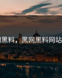 黑网黑料，黑网黑料网站入口