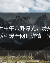 业内人士中午八卦曝光，汤头条轻量版引爆全网！详情一览