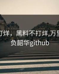 黑料 不打烊，黑料不打烊,万里长征,不负韶华github