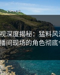 香蕉影视深度揭秘：猛料风波背后，大V在直播间现场的角色彻底令人意外