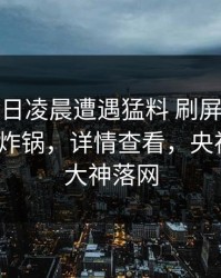 大V在今日凌晨遭遇猛料 刷屏不断，91网全网炸锅，详情查看，央视播出91大神落网