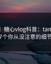 【独家】糖心vlog科普：tangxin背后7个你从没注意的细节