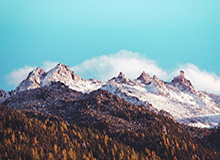 这两天： 黑料社下载吃瓜爆料传播很猛： 但时间线缺了这一环