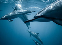 冷门提醒：遇到“黑料中国网”这类词，先做这一步：时间线一对就露馅